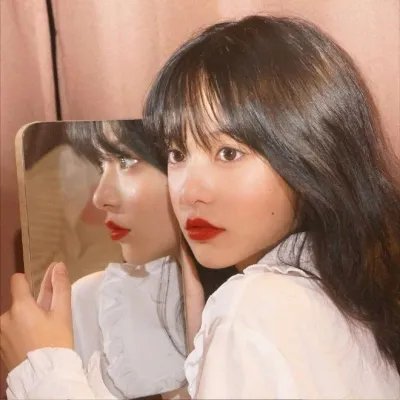 帝国玫瑰
